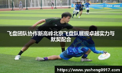 飞盘团队协作新高峰北京飞盘队展现卓越实力与默契配合